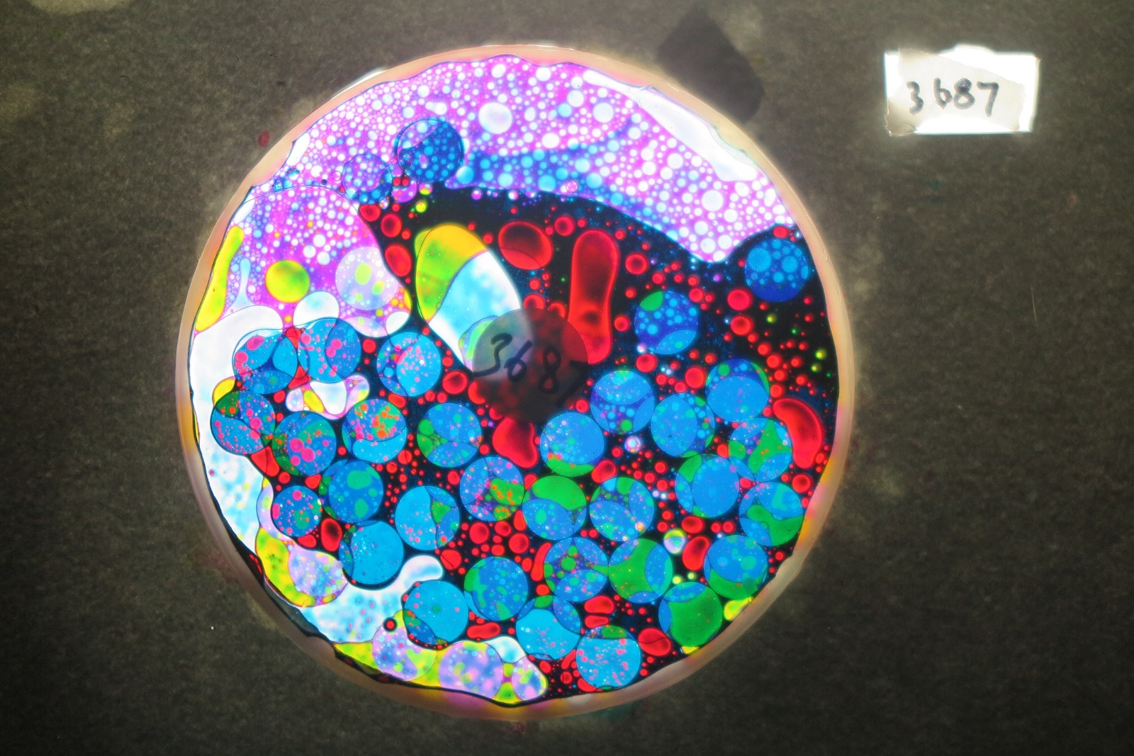 BV3687 bubble vision oil wheel